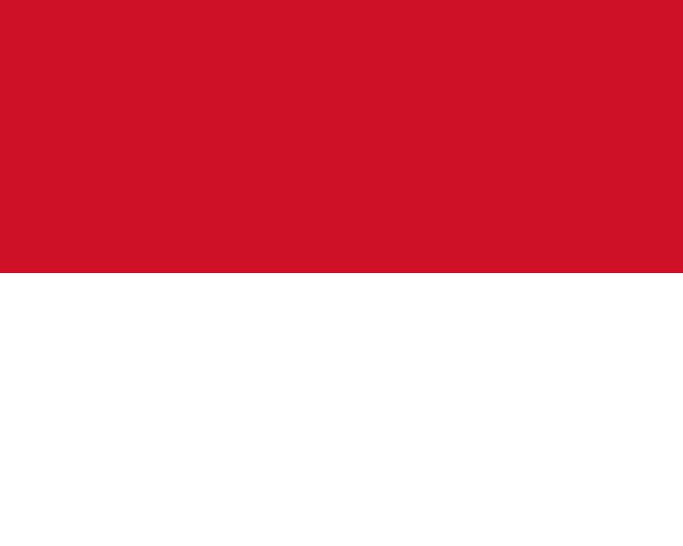 big_flag_171