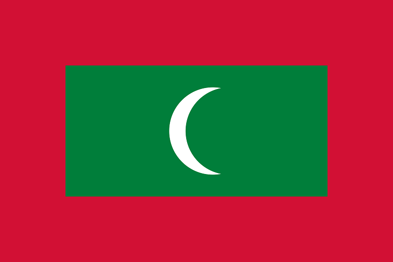 big_flag_1856